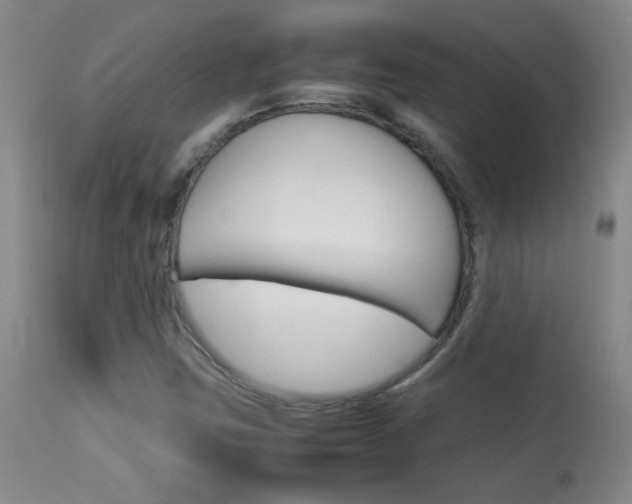 X0000113931403200909250904