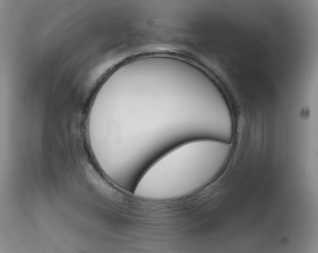 X0000113931404200909250904