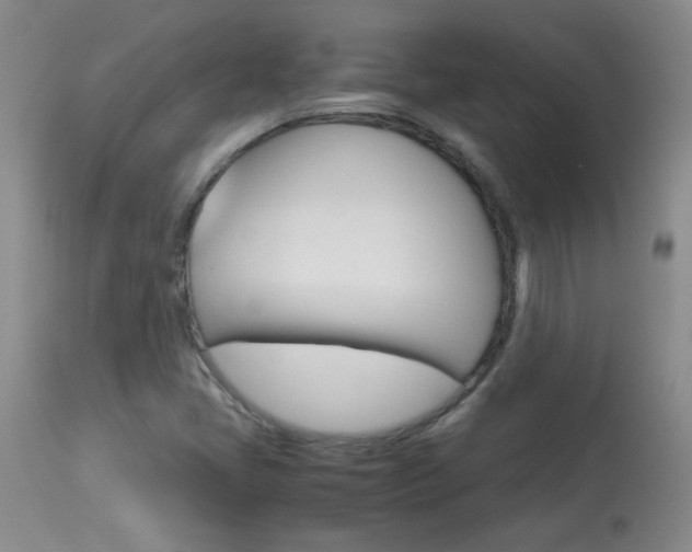 X0000113931405200909250904
