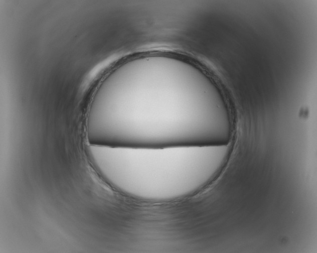 X0000113931406200909250904