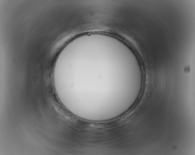 X0000113931407200909250904