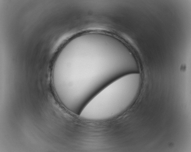 X0000113931408200909250904