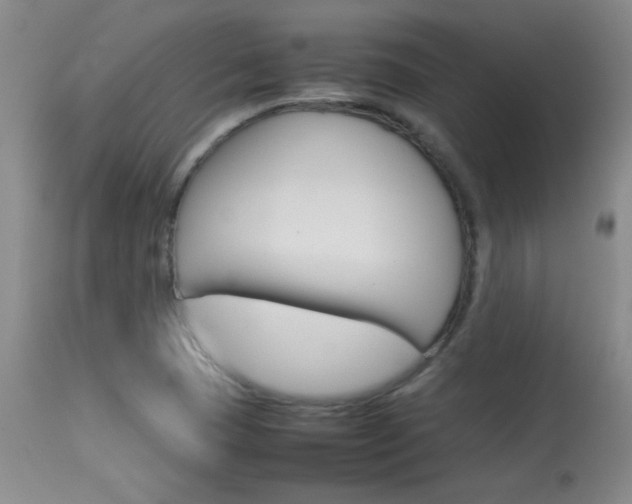 X0000113931409200909250904