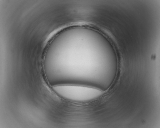 X0000113931412200909250904