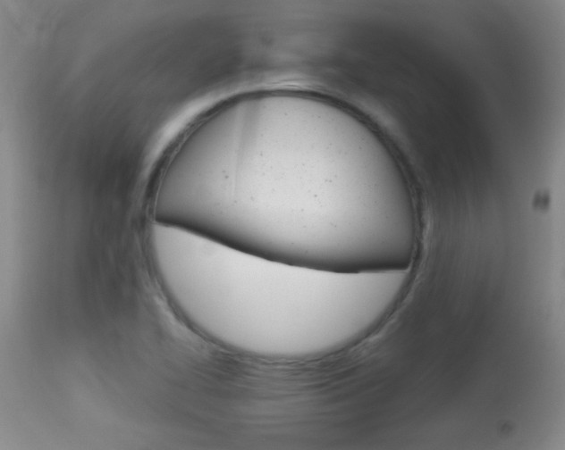 X0000113931414200909250905