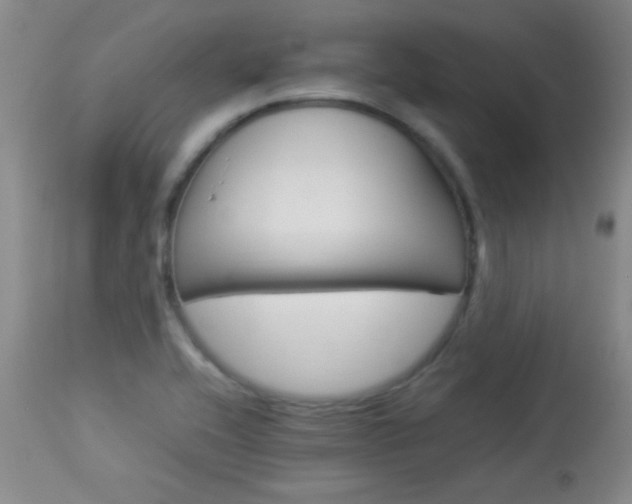 X0000113931416200909250905
