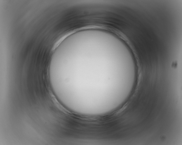 X0000113931417200909250905