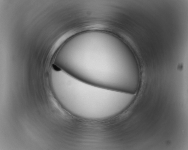 X0000113931418200909250905