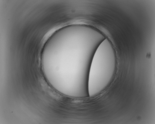 X0000113931419200909250905