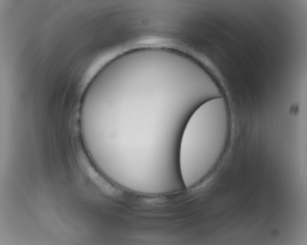 X0000113931421200909250905