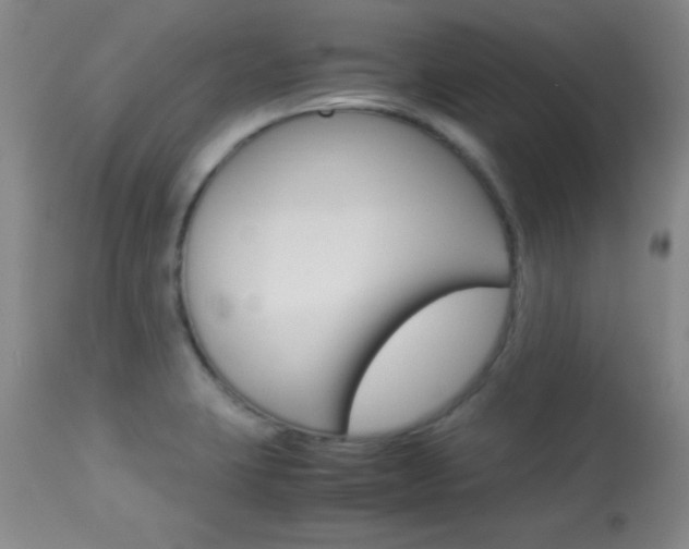 X0000113931423200909250905