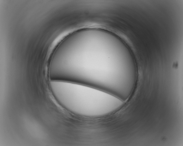 X0000113931424200909250905