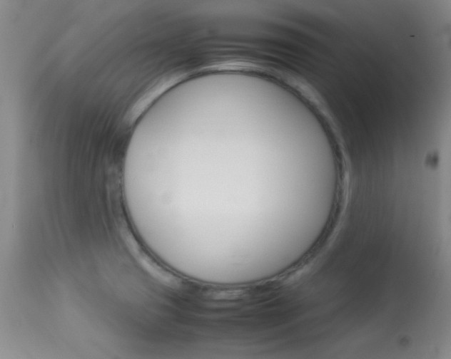 X0000113931425200909250905