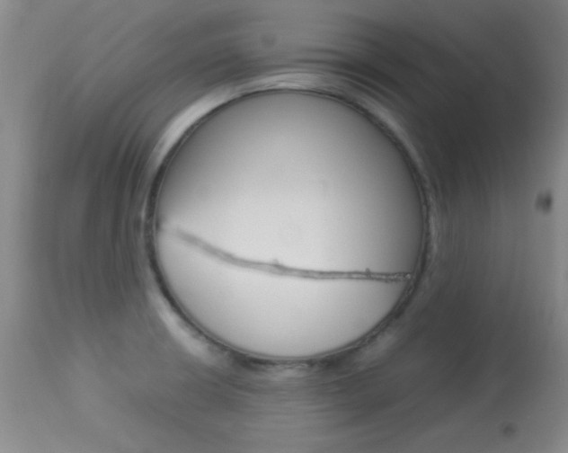 X0000113931426200909250905
