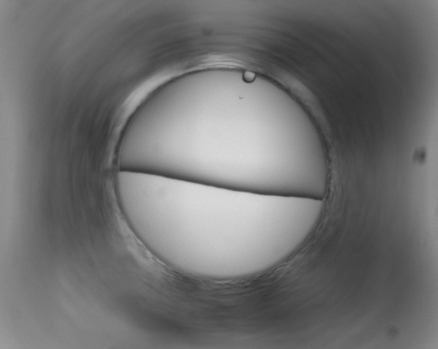 X0000113931427200909250905