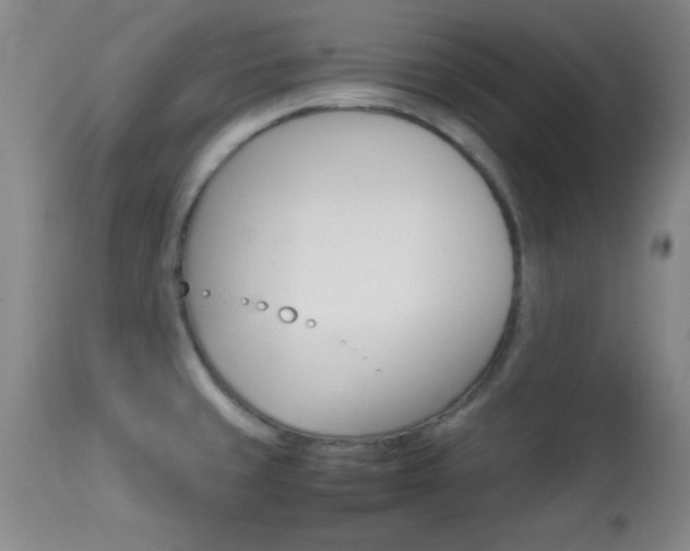 X0000113931429200909250905
