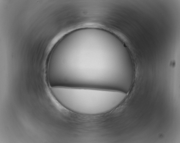 X0000113931430200909250905
