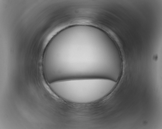 X0000113931432200909250905