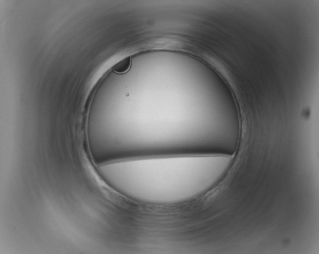 X0000113931434200909250905