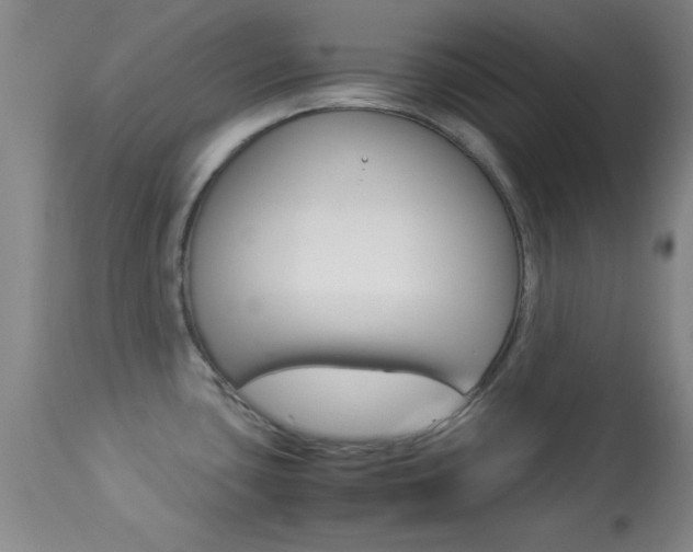 X0000113931435200909250905