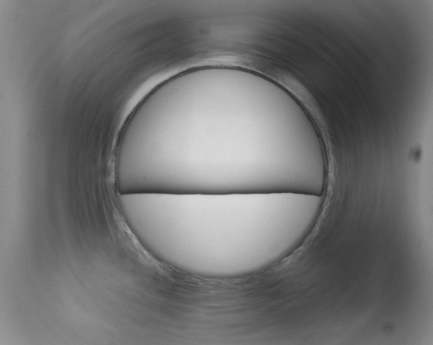 X0000113931436200909250905