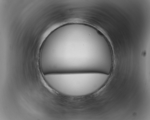 X0000113931437200909250905