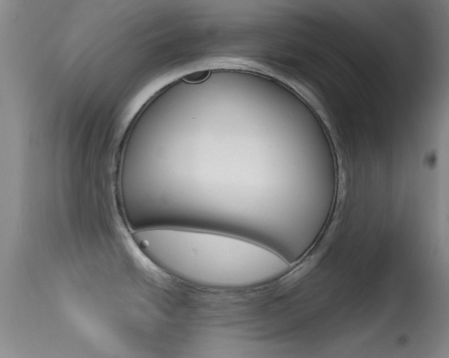 X0000113931438200909250905