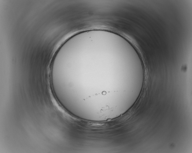X0000113931439200909250905