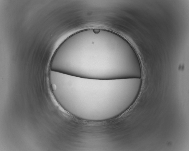 X0000113931440200909250905