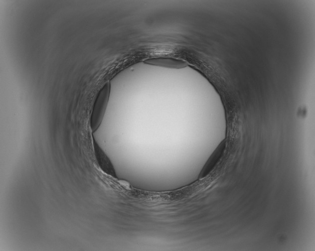X0000113931441200909250904