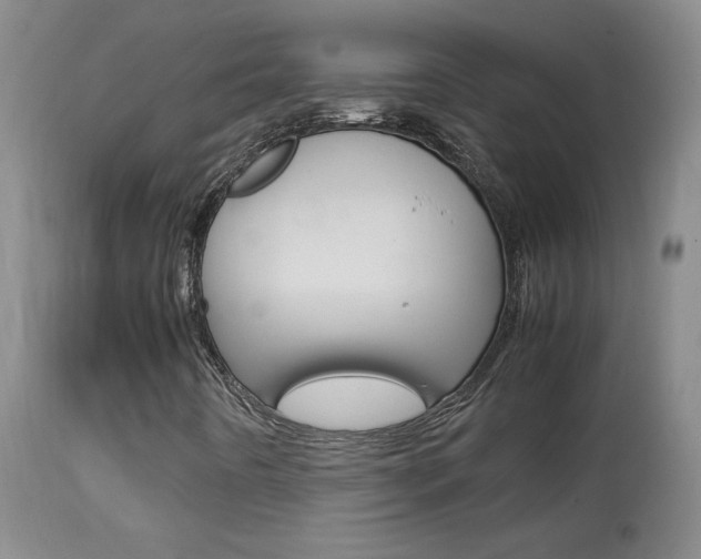 X0000113931442200909250904