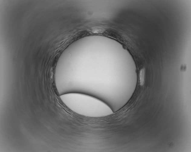 X0000113931443200909250904