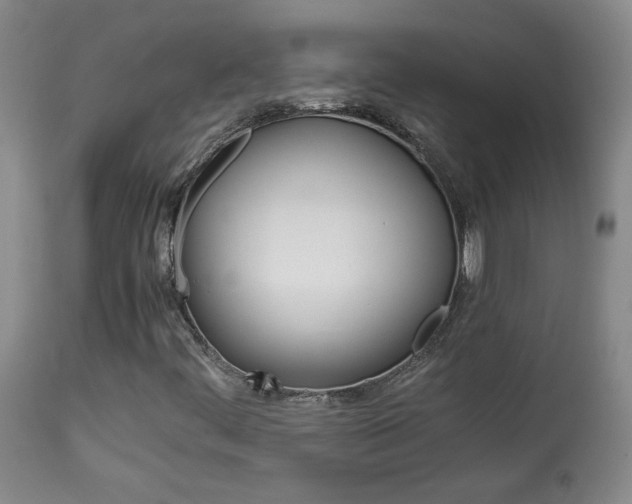 X0000113931444200909250904