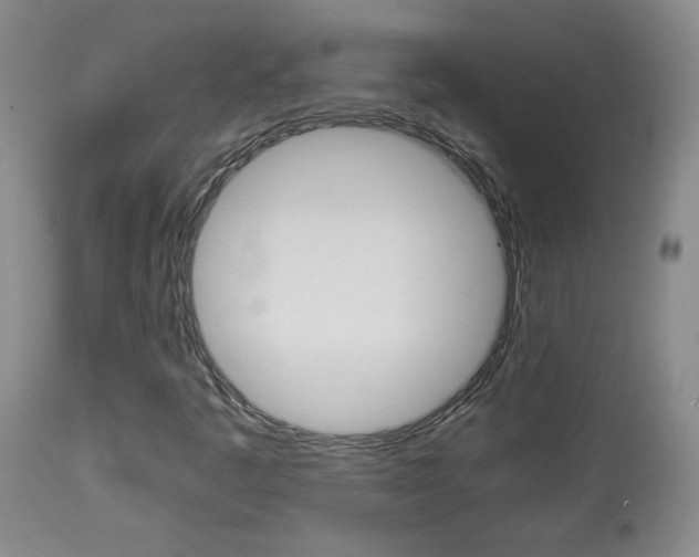 X0000113931445200909250904