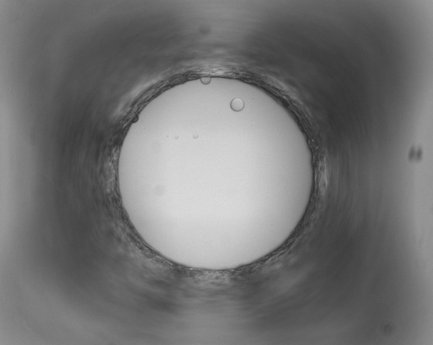 X0000113931446200909250904