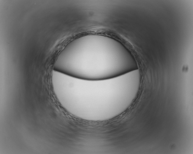 X0000113931447200909250904