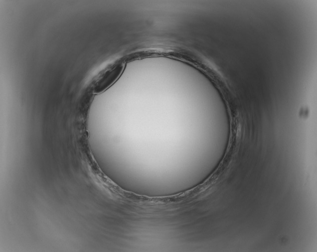 X0000113931448200909250904