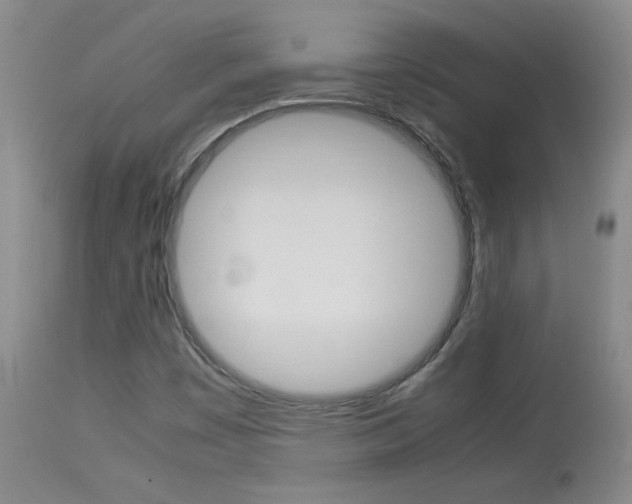 X0000113931449200909250904