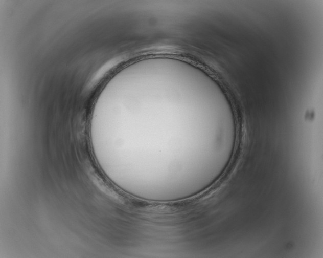 X0000113931450200909250904