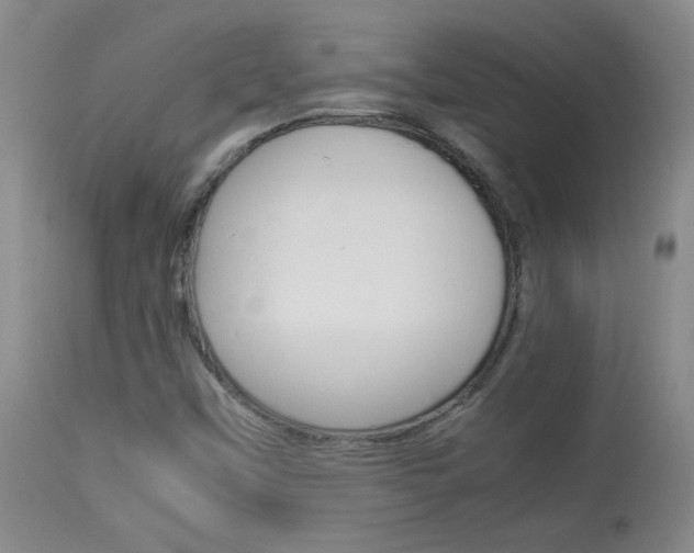 X0000113931451200909250904