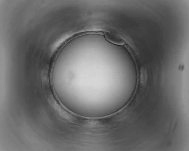 X0000113931452200909250904