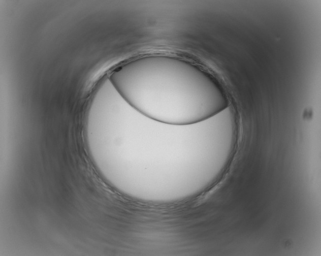 X0000113931453200909250904