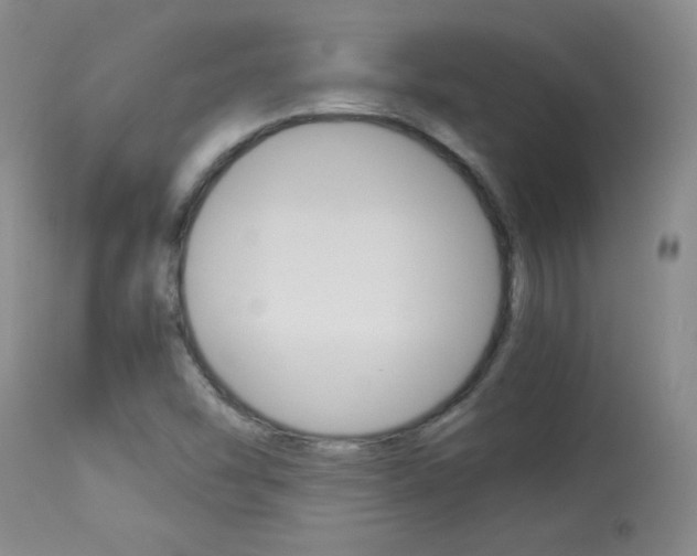 X0000113931454200909250904