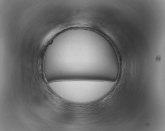 X0000113931455200909250904