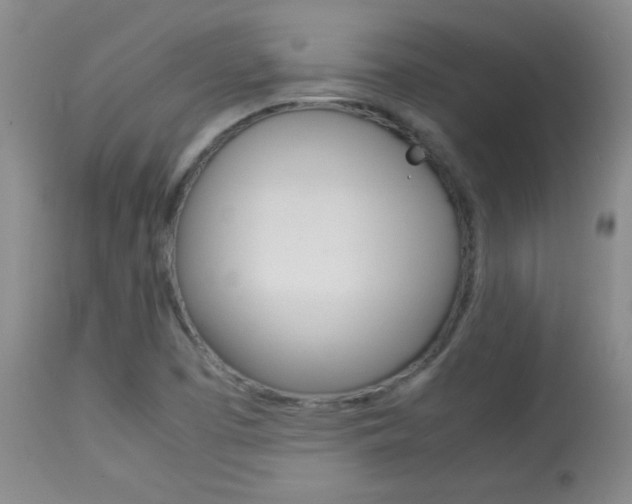 X0000113931457200909250904