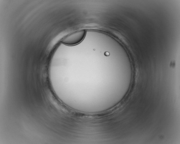 X0000113931458200909250904