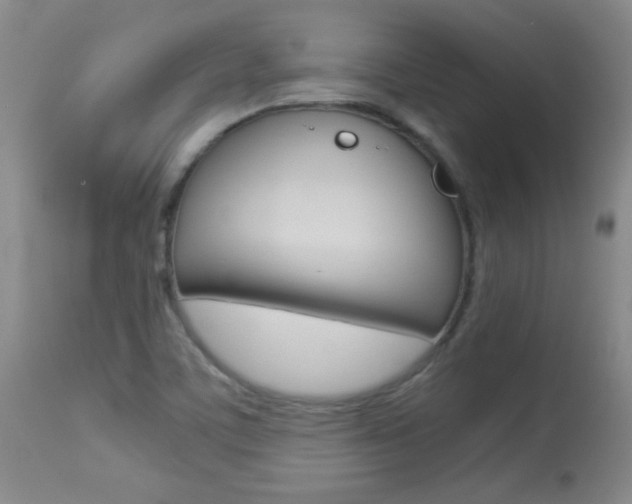 X0000113931459200909250904