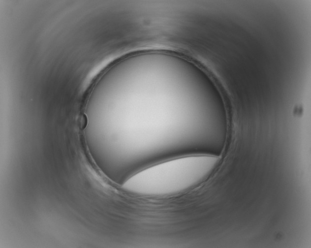 X0000113931460200909250904