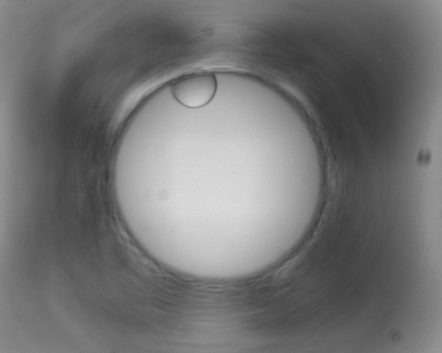 X0000113931461200909250904