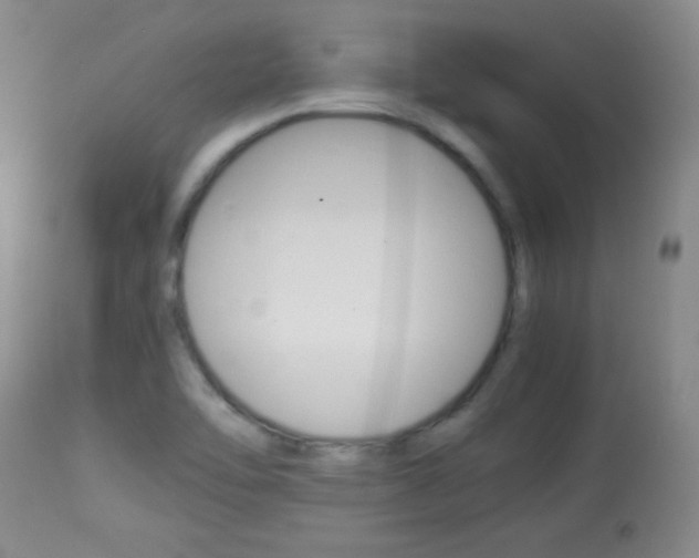 X0000113931462200909250904
